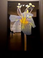 Membres &raquo; Gil GOULPIE